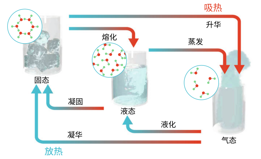 图2.3 相变涉及固态、液态与气态。熔化、升华与蒸发放热；凝固、凝华与液化吸热